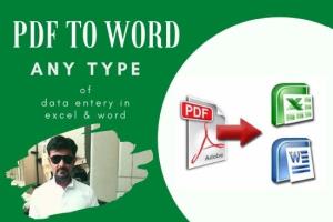 Portfolio for Convert PDF to word